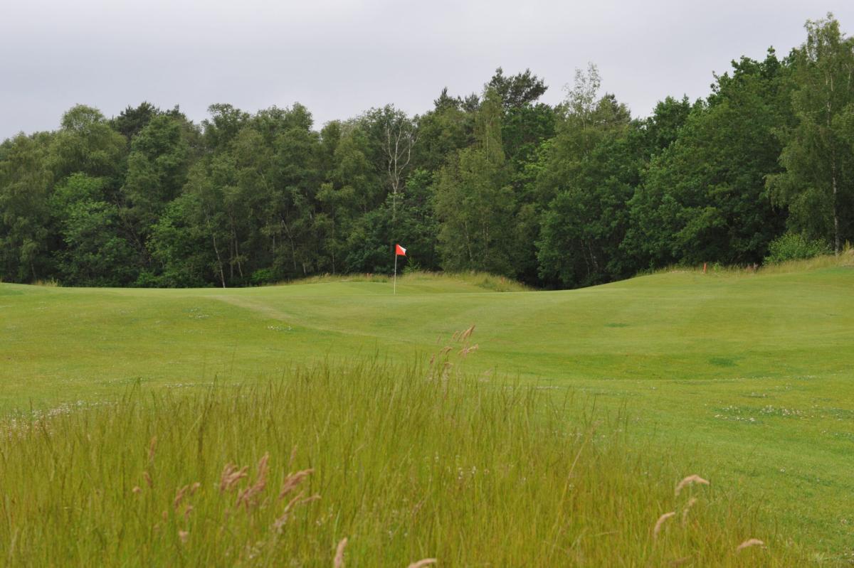 Ontdek Meppel - Golf Club Havelte - Leven | Sport & vrije tijd | Sportverenigingen